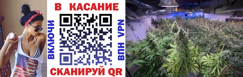 Где найти наркотики Беломорск АМФ  Гашиш  Бутират  Альфа ПВП  Канабис 