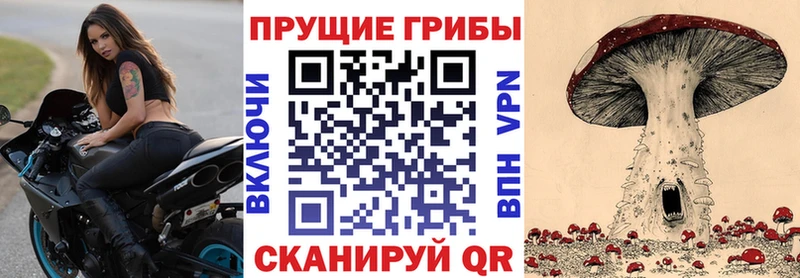 Псилоцибиновые грибы прущие грибы  купить наркотики сайты  shop наркотические препараты  Беломорск 