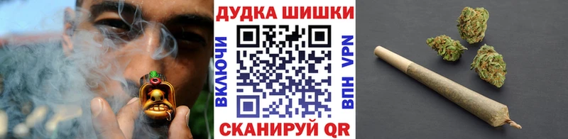 где можно купить наркотик Беломорск Бошки марихуана сатива